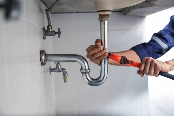 Best Clogged Drain Plumber  in Portola, CA